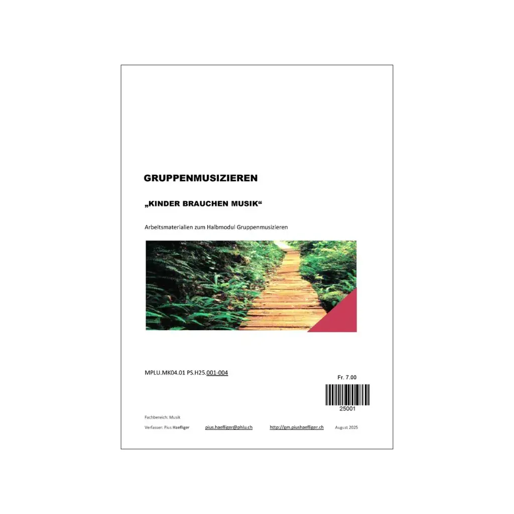 Gruppenmusizieren, Kinder Brauchen Musik HS25