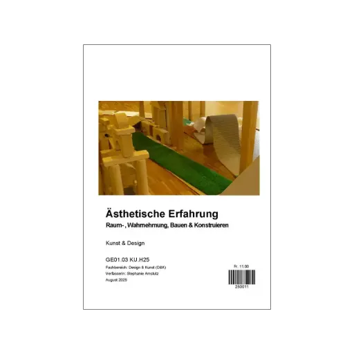 [250011] Ästehtische Erfahrung HS25